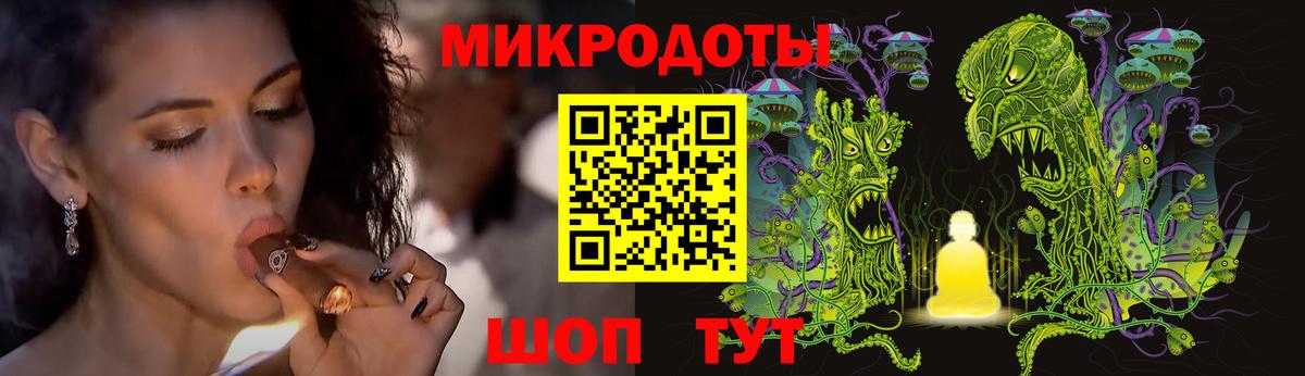 Псилоцибиновые грибы Psilocybine cubensis Клинцы